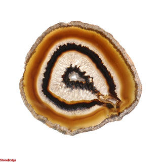 Agate Slices - 1 1/2" to 2 1/2"    from Stonebridge Imports