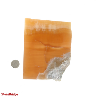 Calcite Honey Slices #4    from Stonebridge Imports