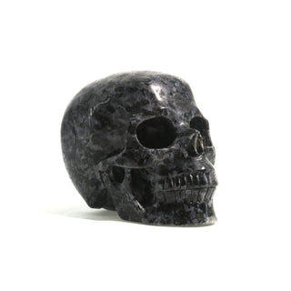 Gabbro Skull U#22    from Stonebridge Imports