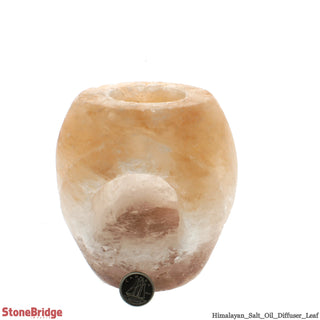 Himalayan Essential Oil Diffuser, Leaf Style with Top Plate    from Stonebridge Imports
