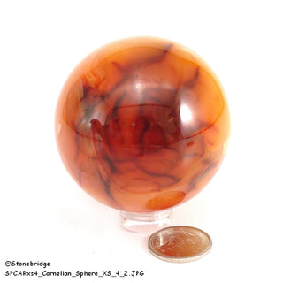 Carnelian Sphere - Extra Small #4 - 2"    from Stonebridge Imports